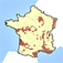 Google Earth Icon